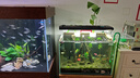 BIOZYM魚缸過濾棉加厚羊絨高密度生化棉生化棉魚池凈水水族箱過濾材料 曬單實拍圖