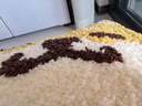 大江地墊衛(wèi)生間腳墊浴室門口吸水墊廁所浴室防滑地墊45x65cm 曬單實(shí)拍圖