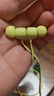beats Flex 藍(lán)牙無線 入耳式手機(jī)耳機(jī) 頸掛式耳機(jī) 帶麥可通話 柚子黃 曬單實(shí)拍圖