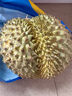 田拾記泰國金枕榴蓮【京東多地次日達】新鮮報恩金枕頭水果帶殼年貨禮品 【品質(zhì)級】50年老樹(shù)果丨人工精選 土豪專(zhuān)享8-9斤【包4-5房】丨1-2個(gè)裝 曬單實(shí)拍圖
