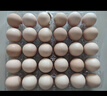 【無抗】大碼鮮雞蛋1.8kg 曬單實拍圖