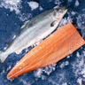 深悅勝 挪威冰鮮三文魚刺身（大西洋鮭魚）中段純?nèi)?即食生魚片鮭魚切片 三文魚半條 5斤 曬單實拍圖
