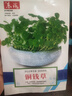 【當(dāng)季新種】銅錢草金錢草水養(yǎng)種籽水培土培花種子大號四季庭院 銅錢草種子/包約100粒 1包 曬單實(shí)拍圖