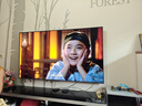 TCL電視 75T7L Pro 75英寸 QD-Mini LED 蝶翼星曜屏 萬象分區(qū) 絢彩XDR2200nits 超薄 國(guó)家補(bǔ)貼20% T7K 曬單實(shí)拍圖