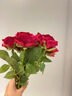 生喜朗【仿真花】玫瑰假花女友生日婚慶裝飾花束插花客廳干花擺件永生花 曬單實(shí)拍圖