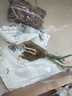 劉閣蘭花蘭花苗盆栽夏帶花苞發(fā)貨名貴花卉 金秋歲月四季開花綠植室內(nèi)香蘭 富山奇蝶2苗帶盆土肥,說明書 曬單實(shí)拍圖
