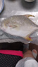 翔泰冷凍海南金鯧魚700g（2條） 曬單實(shí)拍圖