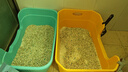 妮可露Nikoro混合貓砂豆腐砂膨潤土貓砂微塵可沖廁2.4kg 混合貓砂2.4kg*4包 曬單實(shí)拍圖