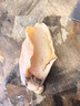鮮活超大鮑魚1只（90g起） 曬單實(shí)拍圖