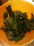 福建霞浦低鹽海帶結(jié)新鮮特厚昆布無沙少鹽高泡發(fā)商用批發(fā) 低鹽海帶結(jié)150g 曬單實拍圖