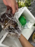槿饈新鮮生菜組合4斤球生菜紅葉等6種沙拉蔬菜輕食蔬菜包 2000g無(wú)醬 曬單實(shí)拍圖