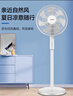 康佳（KONKA）電風(fēng)扇家用風(fēng)扇立式搖頭落地扇節(jié)能輕音小風(fēng)扇臥室空氣循環(huán)扇臺式換氣扇交流定頻電扇KF-L21D35 曬單實(shí)拍圖
