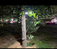 博朗爾充電燈夜市擺攤照明燈戶外強(qiáng)光手電筒露營燈泡家用長續(xù)航應(yīng)急燈 曬單實(shí)拍圖