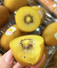 執(zhí)園源特級(jí)新西蘭金果當(dāng)季新鮮進(jìn)口黃心獼猴桃即食禮盒整箱 20個(gè)裝-A+級(jí)【金果特大果】單果1 曬單實(shí)拍圖