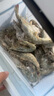 鮮京采 原裝進口厄瓜多爾白蝦 凈重3.3斤 大號30-40規(guī)格 50-66只/盒 曬單實拍圖