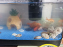 闊庭（KUOTING）魚(yú)缸水族箱生態(tài)桌面魚(yú)缸新款懶人魚(yú)缸生態(tài)造景過(guò)濾制氧一體機(jī)黑色 曬單實(shí)拍圖