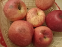 正宗山西吉縣蘋(píng)果壺口蘋(píng)果冰糖心蘋(píng)果新鮮紅富士蘋(píng)果 80mm大果整箱9.6-10斤20顆左右 曬單實(shí)拍圖