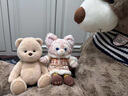 莉娜熊（TeddyTales）小熊玩偶毛絨玩具熊泰迪手作熊安撫娃娃送禮送人女生生日禮物 奶茶色（經(jīng)典款） 中號(hào)站姿約30cm 曬單實(shí)拍圖