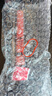 SilentEdge加厚磁吸機(jī)箱防塵網(wǎng)白色臺(tái)式機(jī)電腦主機(jī)黑色側(cè)蓋側(cè)板機(jī)柜pvc通風(fēng)散熱 黑色50*50CM送3米強(qiáng)磁條+全套工具 曬單實(shí)拍圖