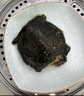 光州麻辣甲魚熟食即食整只鹵味甲魚團魚網(wǎng)紅麻辣鮮活食用鹵王八 200-250g五香 3只 曬單實拍圖