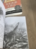 沈石溪動物小說感悟生命書系（修訂版） 狼國女王 與課堂教學(xué)掛鉤 真正開卷有益 曬單實拍圖