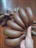譯蒙之味正宗福建土樓紅美人香蕉新鮮孕婦水果紅皮香蕉小米蕉整箱 3斤紅美人香蕉【精選果】 曬單實(shí)拍圖