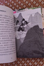 五年級上冊快樂(lè )讀書(shū)吧 全4冊中國民間故事+歐洲民間故事+非洲民間故事+列那狐的故事 曬單實(shí)拍圖
