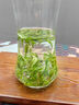 唯茶大師正宗黃山明前毛峰2025新茶特級(jí)綠茶安徽毛尖春茶罐裝500g禮盒裝 500g 曬單實(shí)拍圖