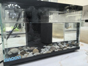 喜高超白玻璃魚缸智能魚缸免換水小型客廳水族箱一體式過濾氧氣魚缸 黑色-魚缸標(biāo)配 380*210*250mm 曬單實(shí)拍圖