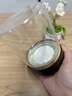 家の物語（KATEI STORY）日本玻璃茶葉罐食品級裝白茶陳皮密封罐茶盒裝茶容器儲存收納筒 曬單實拍圖