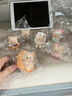 OEIN網(wǎng)紅黃油小熊飾品車載擺件可愛汽車卡通中控臺車內(nèi)裝飾品裝飾公仔 甜品黃油小熊全套6只 （收藏贈車用膠貼） 曬單實拍圖