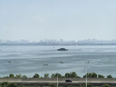 翔泰 海南鯛魚/羅非魚排2斤5-7片 去皮去刺 輕食魚片 燒烤火鍋魚類 曬單實拍圖