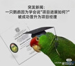 愛他美（Aptamil）德國白金版HMO 嬰兒配方奶粉1段 (0-6個月) 800g 德愛白金 曬單實拍圖