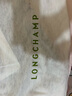 LONGCHAMP瓏驤包LePliage Xtra手提單肩腋下Hobo包 PLUS送PINKO手機支架 曬單實拍圖