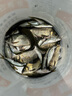 野營者黑戰(zhàn)神29升防刮釣箱全套新款多功能釣魚箱魚桶垂釣競技釣箱 29L 帶輪雙炮臺 雙軌道夜釣款+工具層+支架*2 曬單實拍圖