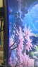 飛利浦EVNIA電競游戲顯示器 34英寸曲面帶魚(yú)屏 WQHD準4K HVA 原生180Hz 1ms HDR400 硬件低延遲34M2C5500 曬單實(shí)拍圖