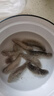 胖DL東來海參野生海參干貨大號(hào)海參干貨批發(fā)非即食大連遼參純淡干 深海野生海參/純淡干海參 【90%人的選擇】40只3-5厘米/個(gè)頭大小均勻 曬單實(shí)拍圖