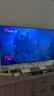 TCL雷鳥 雀5 25款 一級能效 65英寸電視 144Hz 遠場語音 2+32GB 開機無廣告 液晶平板電視機65F295C 曬單實拍圖