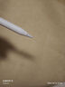 Apple/蘋果 Pencil(USB-C)磁吸觸控筆手寫筆蘋果筆電容筆適用于新iPad mini/Pro (M4)/Air (M2)/iPad11 曬單實(shí)拍圖