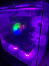 英邦達(dá)英特爾酷睿i7升十八核4060獨顯64G內(nèi)存組裝臺式機電腦主機大游戲辦公設(shè)計水冷整機全套 五  酷睿i9級36核/4060/1TB電競直播 單主機【贈五年質(zhì)保】 曬單實拍圖