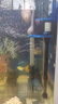 森森（SUNSUN）魚缸過濾器循環(huán)水泵三合一抽水泵水族箱過濾制氧 【底吸吸便】25W增氧流量可調(diào) 適合1-1.2缸 曬單實(shí)拍圖