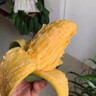 廣西百色田東桂七芒新鮮現(xiàn)摘應當季水果青芒果貴七香芒帶箱特產(chǎn) 實惠裝5斤【凈重4-4.5斤】 大果【單果4-5兩左右】 曬單實拍圖