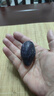 夢(mèng)茜兒順豐 西梅 新鮮禮盒裝李子脆酸甜水果孕婦生鮮時(shí)令當季特產(chǎn) 5斤凈重 A級【大果30-50g】順豐 曬單實(shí)拍圖