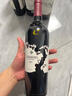 Member's Mark 美國進(jìn)口 老藤仙粉黛紅葡萄酒 750毫升 750mL 曬單實(shí)拍圖
