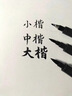 玉水湖秀麗筆書(shū)法專(zhuān)用筆自帶筆鋒可加墨小楷練字軟筆墨水速寫(xiě)黑色軟頭筆 大容量軟握秀麗筆【4款各1】 無(wú)規格 曬單實(shí)拍圖