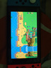 任天堂（Nintendo）Switch游戲卡帶NS游戲卡 適配Switch2游戲機(jī)海外通用版實(shí)體卡212 星露谷物語(yǔ) Stardew Valley 中文 國(guó)內(nèi)速發(fā) 曬單實(shí)拍圖