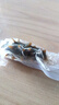 久年大連即食海參500g16-19只遼參京東自營 固形物超85% 生鮮海鮮盒裝 曬單實拍圖