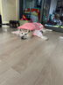琴飛曼雨衣狗狗雨衣大狗中大型犬金毛薩摩耶阿拉斯加全包雨衣連帽珊瑚粉4XL 曬單實(shí)拍圖