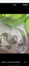 冰膚之萃蘆薈膠舒緩保濕凝膠補(bǔ)水保濕曬后呵護(hù)凝膠男女面部滋潤(rùn)身體嫩膚 蘆薈凝膠300g*2盒 曬單實(shí)拍圖
