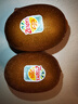 佳沛（zespri）新西蘭 陽光金奇異果12粒禮盒特大果單果約122-146g 獼猴桃 水果 曬單實拍圖